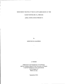 MONUMENT OR FOLLY? MAYA LIN`S BIRD BLIND AT THE SANDY