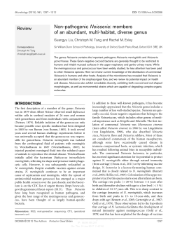 Non-pathogenic Neisseria: members of an abundant