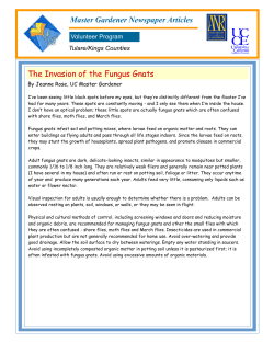 The Invasion of the Fungus Gnats