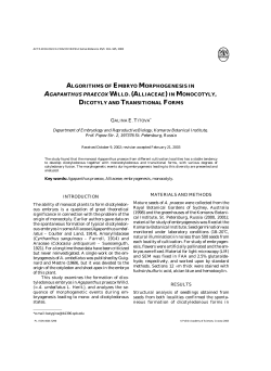 algorithms of embryo morphogenesis in agapanthus praecox willd.