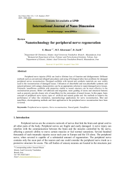 Nanotechnology for peripheral nerve regeneration