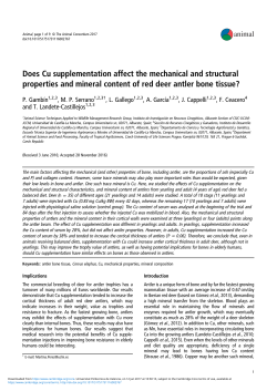Does Cu supplementation affect the mechanical and