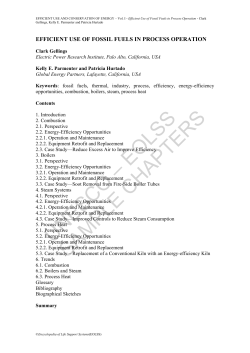 Efficient Use of Fossil Fuels in Process Operation