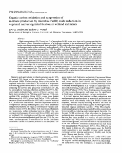 Organic carbon oxidation and suppression of methane
