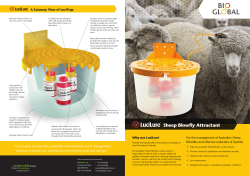 Sheep Blowfly Attractant