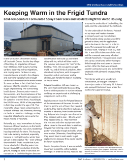 Keeping Warm in the Frigid Tundra- Cold