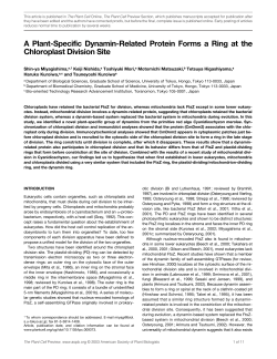 A Plant-Specific Dynamin-Related Protein Forms a