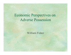 Economic Perspectives on Adverse Possession