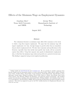 Effects of the Minimum Wage on Employment Dynamics