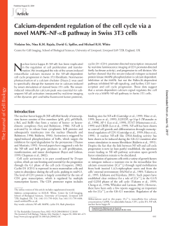 Calcium-dependent regulation of the cell cycle via a novel MAPK
