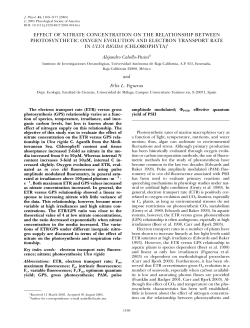 effect of nitrate concentration on the relationship between