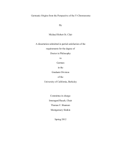 Germanic Origins from the Perspective of the Y