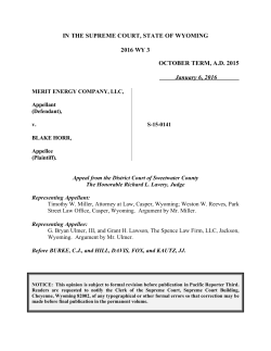 IN THE SUPREME COURT, STATE OF WYOMING