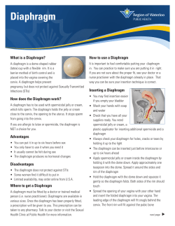 Diaphragm - Region of Waterloo Public Health