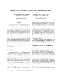 Effective features for artery-vein classification in digital fundus
