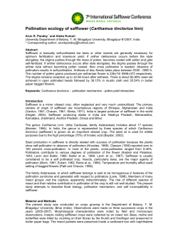 Pollination ecology of safflower