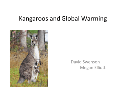 Kangaroos and Global Warming