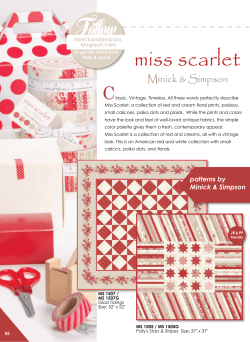 Miss Scarlet - United Notions
