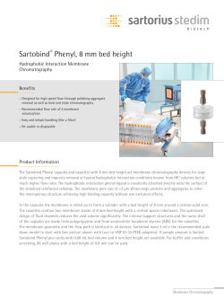 Sartobind&reg; Phenyl, 8 mm bed height