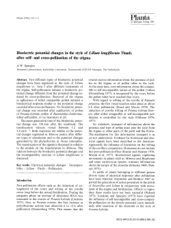 Bioelectric potential changes in the style of