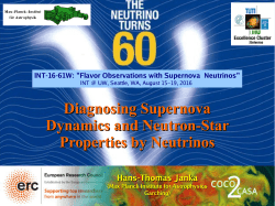 Diagnosing Supernova Dynamics and Neutron
