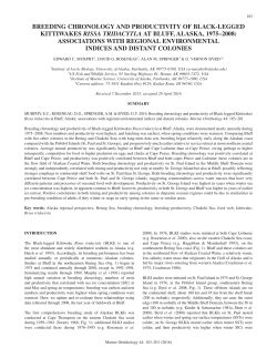 breeding chronology and productivity of black