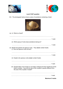 Level 5 SAT question 5.1. The photograph below shows a piece of
