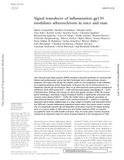 Signal transducer of inflammation gp130 modulates