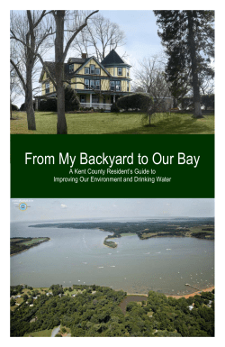 From My Backyard to Our Bay