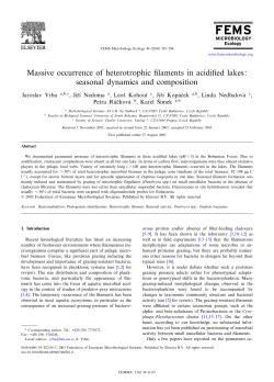 Massive occurrence of heterotrophic filaments in acidified lakes