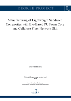 Manufacturing of Lightweight Sandwich Composites with Bio