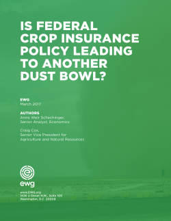 is federal crop insurance policy leading to another dust bowl?