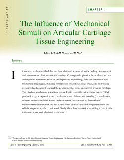 The Influence of Mechanical Stimuli on Articular Cartilage Tissue