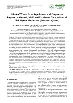 Effect of Wheat Bran Supplement with Sugarcane Bagasse on