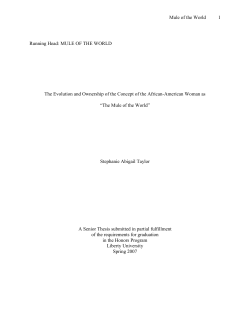 The Evolution and Ownership of the Concept of the African