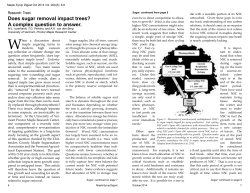 Does sugar removal impact trees?