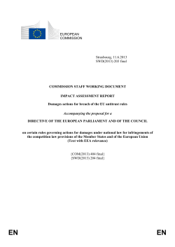 SWD(2013) 203 - European Commission