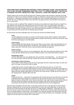 this is written by someone who adopted a puppy from many