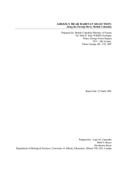grizzly bear habitat selection