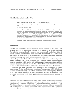 Modified bases in transfer RNA