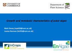 Growth and metabolic characteristics of polar algae