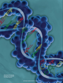 Bringing DNA Computers to Life