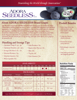 About ADORA SEEDLESS&reg; Brand Grapes Produ Benefits Handling