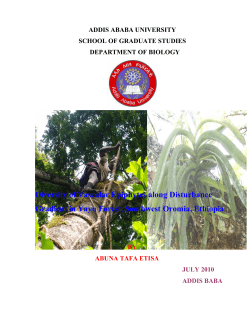 Diversity of Vascular Epiphytes along Disturbance Gradient in Yayu