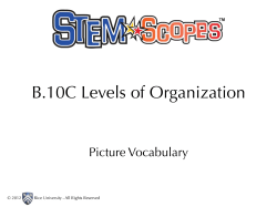 B.10C Levels of Organization