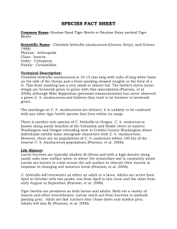 printable profile - The Xerces Society