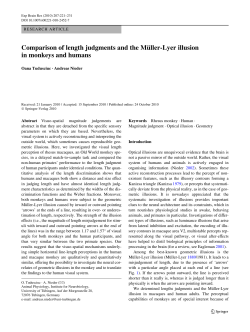 Comparison of length judgments and the M&uuml;ller