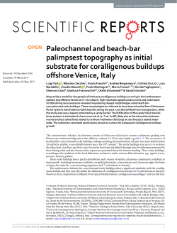 Paleochannel and beach-bar palimpsest topography as initial