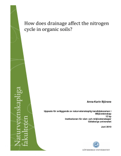 How does drainage affect the nitrogen cycle in organic soils?