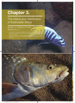 Chapter 3 Fishes